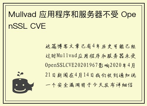 Mullvad 应用程序和服务器不受 OpenSSL CVE